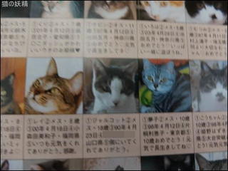 s-DSCF1765.jpg