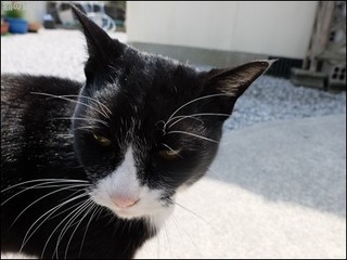 s-DSCF1765.jpg