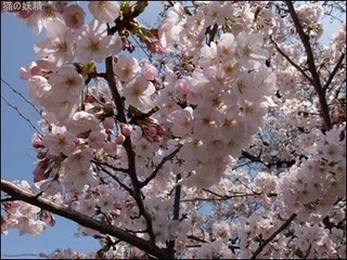 s-DSCF1772.jpg