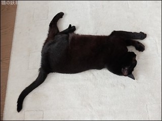 s-DSCF1778.jpg