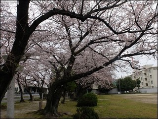 s-DSCF1789.jpg