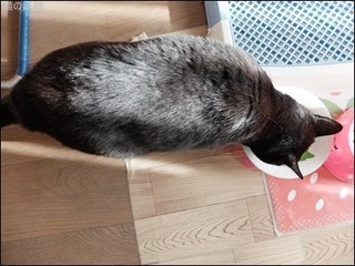 s-DSCF1793.jpg