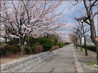 s-DSCF1844.jpg