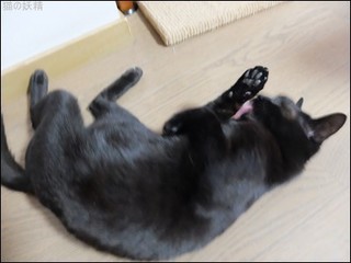 s-DSCF1870.jpg