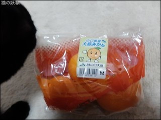 s-DSCF1908.jpg