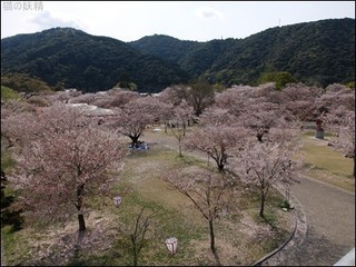 s-DSCF1922.jpg