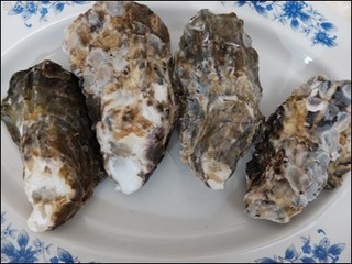 s-DSCF1939.jpg