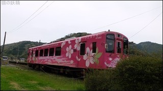 s-DSCF2003.jpg