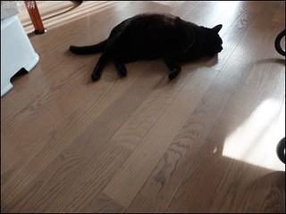 s-DSCF2004.jpg
