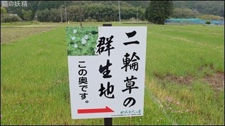 s-DSCF2007.jpg