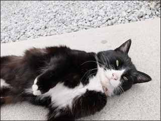 s-DSCF2027.jpg