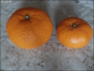 s-DSCF2028.jpg