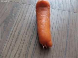 s-DSCF2041.jpg