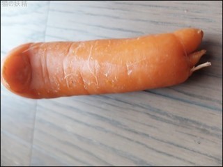s-DSCF2042.jpg