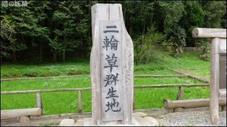 s-DSCF2046.jpg