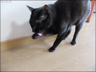 s-DSCF2048.jpg
