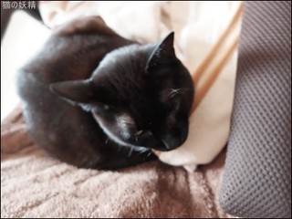 s-DSCF2056.jpg