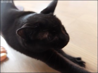 s-DSCF2058.jpg