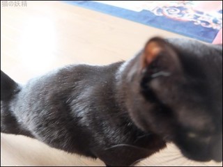 s-DSCF2059.jpg