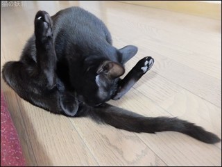 s-DSCF2071.jpg