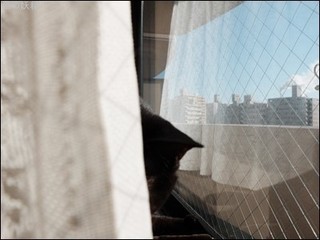 s-DSCF2075.jpg