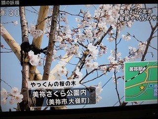 s-DSCF2091.jpg