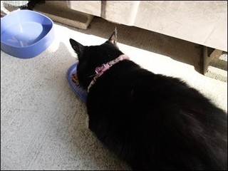 s-DSCF2097.jpg
