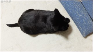 s-DSCF2098.jpg
