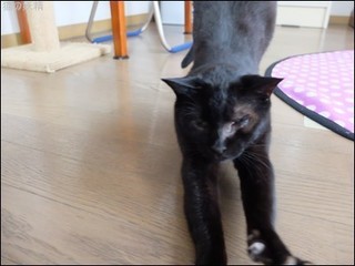 s-DSCF2103.jpg