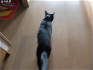 s-DSCF2107.jpg