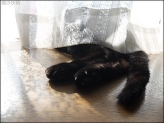 s-DSCF2109.jpg