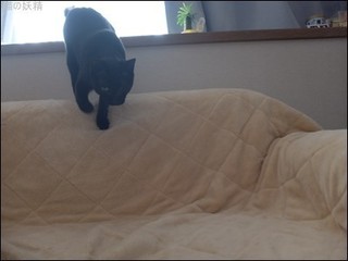 s-DSCF2112.jpg