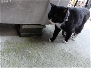 s-DSCF2113.jpg