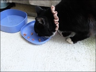 s-DSCF2114.jpg