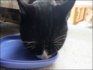 s-DSCF2115.jpg
