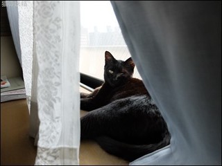 s-DSCF2119.jpg