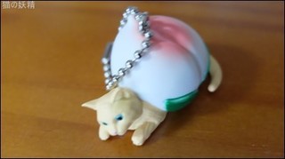 s-DSCF2121.jpg