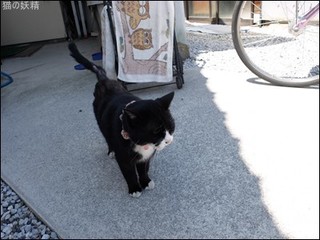 s-DSCF2165.jpg
