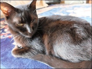 s-DSCF2184.jpg