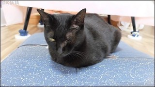 s-DSCF2191.jpg