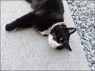 s-DSCF2198.jpg