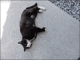 s-DSCF2199.jpg