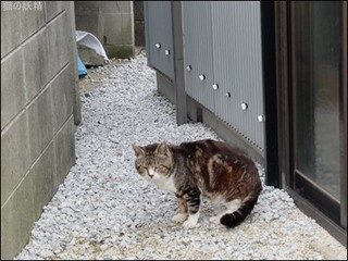 s-DSCF2214.jpg