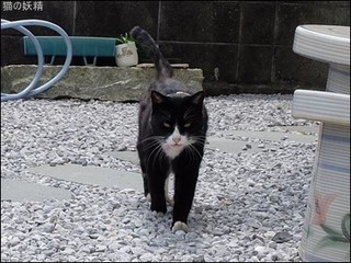 s-DSCF2217.jpg