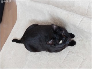 s-DSCF2286.jpg