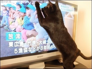 s-DSCF2310 - コピー.jpg