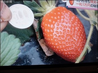 s-DSCF2369.jpg