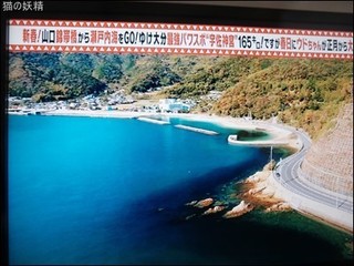 s-DSCF2402.jpg