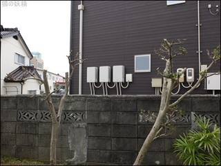 s-DSCF2405.jpg