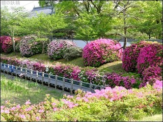 s-DSCF2441.jpg